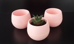 Renkli Kaktüs Saksısı 2 Adet 1,3 Lt Elvan Saksı Model Pudra Pembe Renk Plastik Saksı