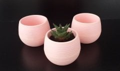Renkli Kaktüs Saksısı 2 Adet 1,3 Lt Elvan Saksı Model Pudra Pembe Renk Plastik Saksı