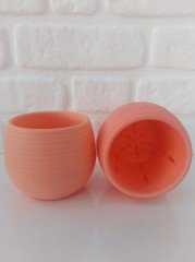 Renkli Kaktüs Saksısı 1 Adet 1,3 Lt Elvan Saksı Model Somon Renk Plastik Saksı