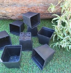 Kare Üretim Saksısı 5 Adet 0,23 LT Siyah Plastik Saksı