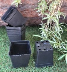 Kare Üretim Saksısı 25 Adet 0,23 LT Siyah Plastik Saksı