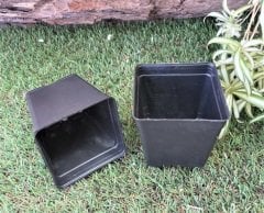 Kare Üretim Saksısı 0,33 LT Siyah Plastik Saksı ADET SEÇİN