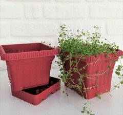 Balkon Saksısı 2,2 Lt 1 Adet Ova Balkon Model Kırmızı Renkli Plastik Saksı