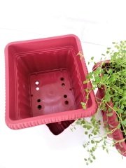 Balkon Saksısı 2,2 Lt 1 Adet Ova Balkon Model Kırmızı Renkli Plastik Saksı