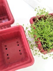 Balkon Saksısı 2,2 Lt 2 Adet Ova Balkon Model Kırmızı Renkli Plastik Saksı