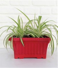 Balkon Saksısı 3,5 Lt 1 Adet Ova Balkon Model Kırmızı Renkli Plastik Saksı