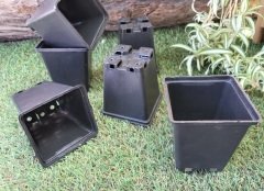 Kare Üretim Saksısı 50 Adet 0,33 LT Siyah Plastik Saksı