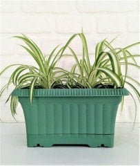 Balkon Saksısı 3,5 Lt 1 Adet Ova Balkon Model Petrol Yeşili Renkli Plastik Saksı