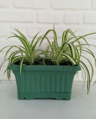 Balkon Saksısı 3,5 Lt 2 Adet Ova Balkon Model Petrol Yeşili Renkli Plastik Saksı