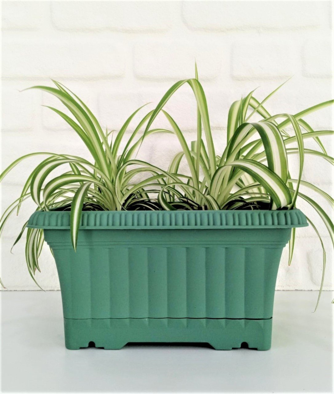 Balkon Saksısı 3,5 Lt 2 Adet Ova Balkon Model Petrol Yeşili Renkli Plastik Saksı