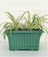 Balkon Saksısı 3,5 Lt 2 Adet Ova Balkon Model Petrol Yeşili Renkli Plastik Saksı