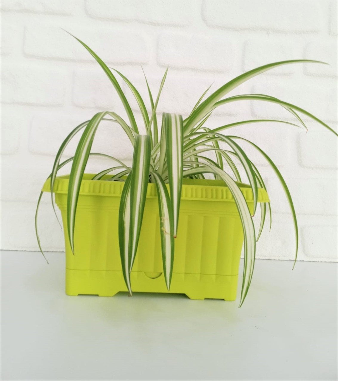 Balkon Saksısı 3,5 Lt 1 Adet Ova Balkon Model Sarı Renkli Plastik Saksı