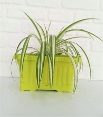 Balkon Saksısı 3,5 Lt 1 Adet Ova Balkon Model Sarı Renkli Plastik Saksı