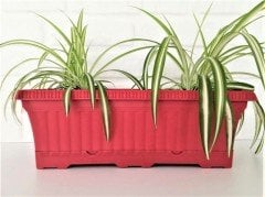 Balkon Saksısı 5,7 Lt 1 Adet Ova Balkon Model Kırmızı Renkli Plastik Saksı