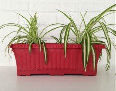 Balkon Saksısı 5,7 Lt 1 Adet Ova Balkon Model Kırmızı Renkli Plastik Saksı