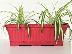 Balkon Saksısı 5,7 Lt 2 Adet Ova Balkon Model Kırmızı Renkli Plastik Saksı