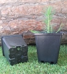 Kare Üretim Saksısı 10 Adet 0,50 LT Siyah Plastik Saksı