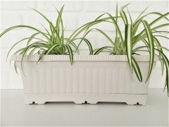 Balkon Saksısı 5,7 Lt 1 Adet Ova Balkon Model Krem Renkli Plastik Saksı