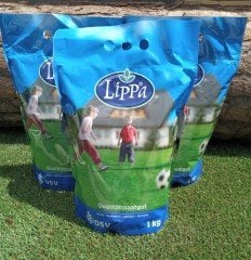 Çim Tohumu 2 kg 6 Karışım Villa Çimi Özel Çim İthal Kaliteli Çim