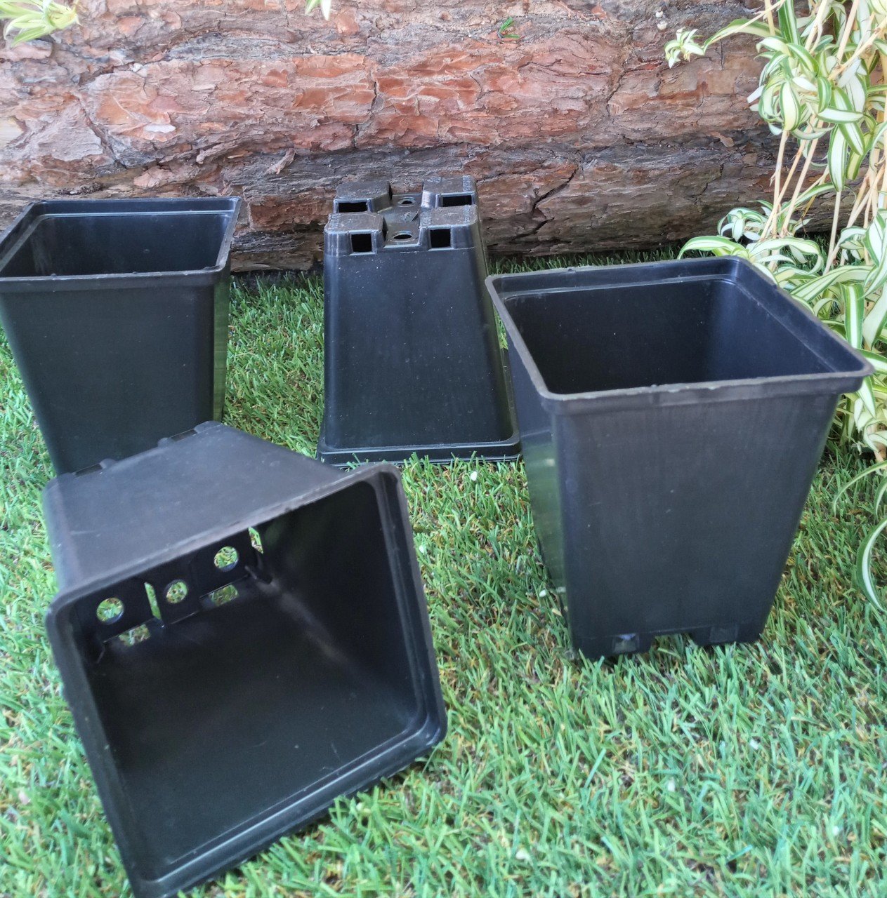 Kare Üretim Saksısı 20 Adet 0,50 LT Siyah Plastik Saksı