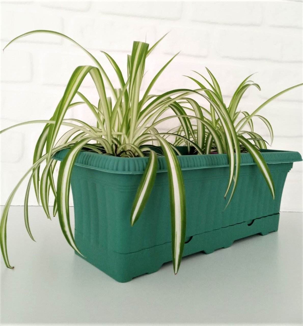 Balkon Saksısı 5,7 Lt 2 Adet Ova Balkon Model Petrol Yeşili Renkli Plastik Saksı