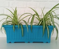 Balkon Saksısı 5,7 Lt 2 Adet Ova Balkon Model Turkuaz Renkli Plastik Saksı