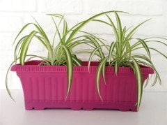 Balkon Saksısı 5,7 Lt 2 Adet Ova Balkon Model Vişne Renkli Plastik Saksı
