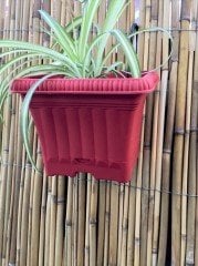 Demirli Balkon Saksısı 2,2 Lt 2 Adet Ova Balkon Model Kırmızı Renkli Plastik Tabaklı Saksı