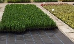 Taban Örtüsü En 3 Metre Boy Seçiniz  Sera Yer Örtüsü