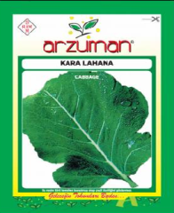 Yaprak/Karalahana  Tohumu 1 Paket (10 GR 3. 000 Adet) Tohum Sebze Tohumu