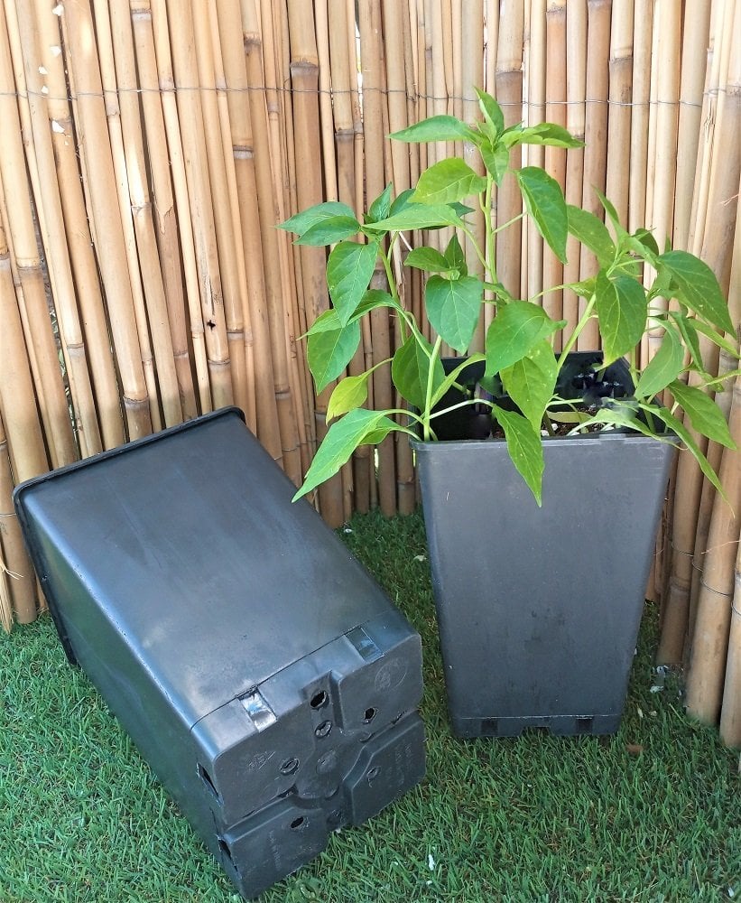 Kare Üretim Saksısı 4,4 LT Siyah Plastik Saksı 1  ADET