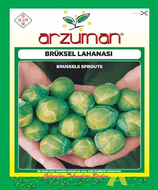 Brüksel Lahanası Tohumu 1 Paket (200 Adet ) Tohum Sebze Tohumu
