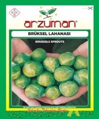 Brüksel Lahanası Tohumu 1 Paket (200 Adet ) Tohum Sebze Tohumu