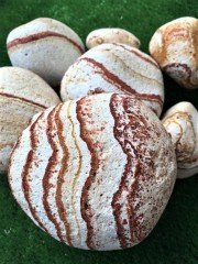 Sarı Çizgili Dolomit Taş 2 KG 6-10 CM Dekoratif Bahçe Taşı