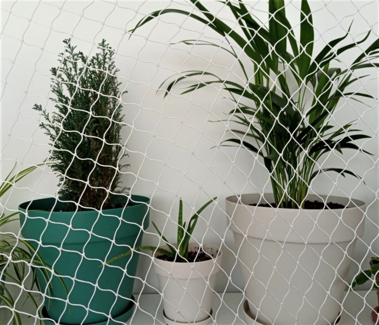 Kuş Filesi En 5x10 M Kuş Önleme Filesi(Göz Çapı 2 CM)