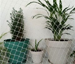Kuş Filesi En 5x10 M Kuş Önleme Filesi(Göz Çapı 2 CM)