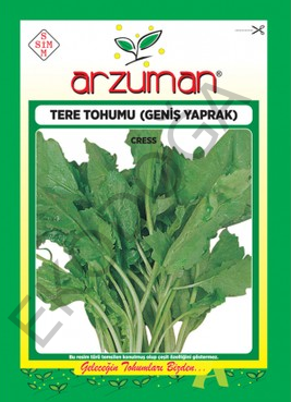 Tere Tohumu 1 Paket 10 Gr (2000 Adet) Helen Tere Tohumu
