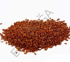 Tere Tohumu 1 Paket 10 Gr (2000 Adet) Helen Tere Tohumu