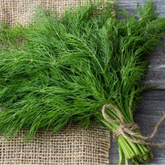 Dere Otu Tohumu 1 Paket 10 Gr  Dereotu Tohumu Sebze Tohumu