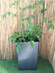 Kare Üretim Saksısı 15 LT Siyah Plastik Saksı 1 ADET