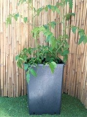 Kare Üretim Saksısı 3 Adet 15 LT Siyah Plastik Saksı