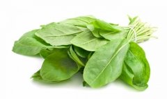 Kuzukulağı Tohumu 1 Paket 5 Gr Ekşiot Tohumu Sebze Tohumu