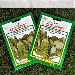 Semizotu Tohumu 1 Paket 10 Gr  Tohum Çeşitleri