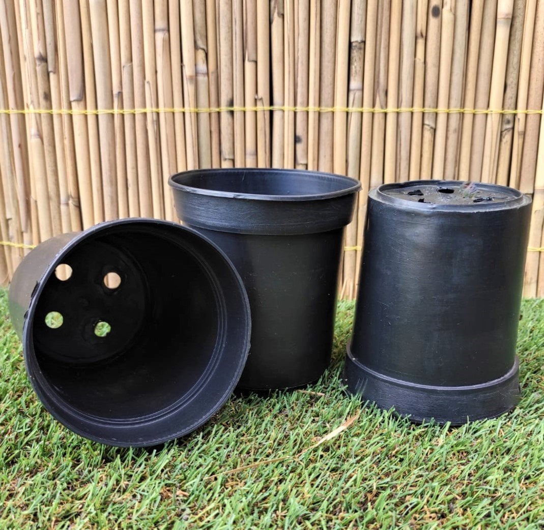 Yuvarlak Siyah Üretim Saksı 10 Adet 0,70 LT Üretim Saksısı