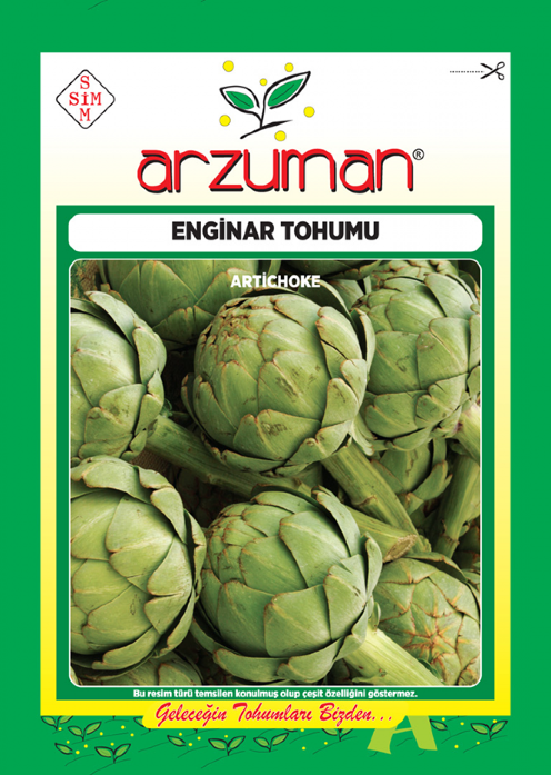 Enginar Tohumu 1 Paket (20 Adet Tohum) Sebze Tohumu