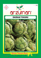 Enginar Tohumu 1 Paket (20 Adet Tohum) Sebze Tohumu