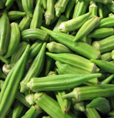 Sultani Bamya Tohumu 1 Pakette 10 Gr Tohum Sebze Tohumu