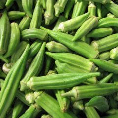 Sultani Bamya Tohumu 1 Pakette 10 Gr Tohum Sebze Tohumu