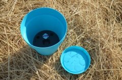 Renkli Saksı 1,7 LT 2 Adet Turkuaz Renk Yalı Model Plastik Tabaklı Çiçek Saksısı