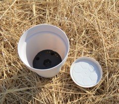 Renkli Saksı 1,7 LT 2 Adet Krem Renk Yalı Model Plastik Tabaklı Çiçek Saksısı